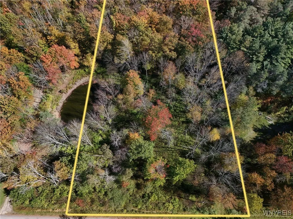 00 Town Line Road, Mc Donough, New York 13801, Mc Donough, New York 13801, ,Land,For Sale,00 Town Line Road, Mc Donough, New York 13801,0,B1642703 00 Town Line Road, Mc Donough, New York 13801, Mc Donough, New York 13801, ,Land,For Sale,00 Town Line Road, Mc Donough, New York 13801,0,B1642703