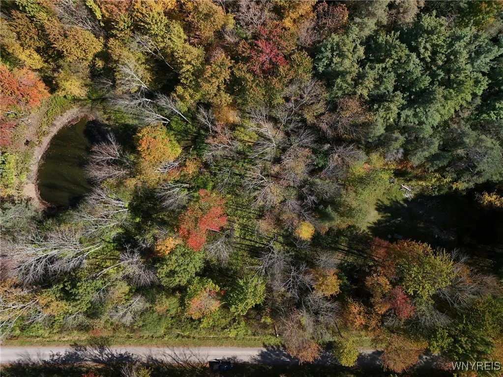 00 Town Line Road, Mc Donough, New York 13801, Mc Donough, New York 13801, ,Land,For Sale,00 Town Line Road, Mc Donough, New York 13801,0,B1642703 00 Town Line Road, Mc Donough, New York 13801, Mc Donough, New York 13801, ,Land,For Sale,00 Town Line Road, Mc Donough, New York 13801,0,B1642703