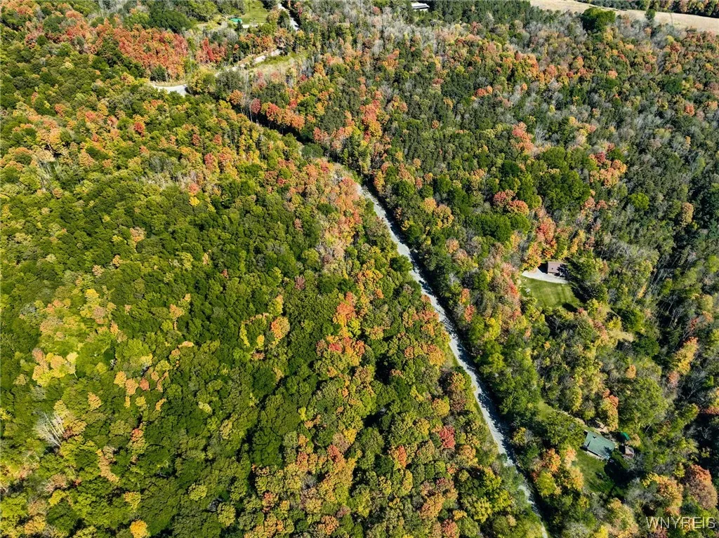 Old Buffalo Road, Orangeville, New York 14569, Orangeville, New York 14569, ,Land,For Sale,Old Buffalo Road, Orangeville, New York 14569,0,B1642794
