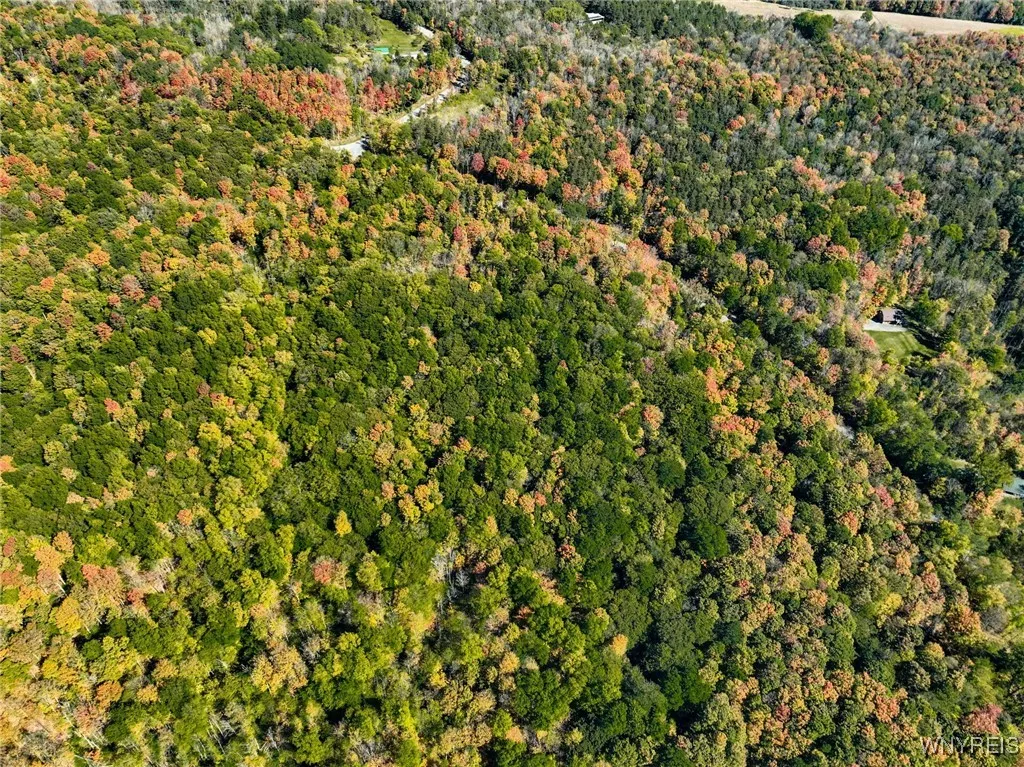 Old Buffalo Road, Orangeville, New York 14569, Orangeville, New York 14569, ,Land,For Sale,Old Buffalo Road, Orangeville, New York 14569,0,B1642794