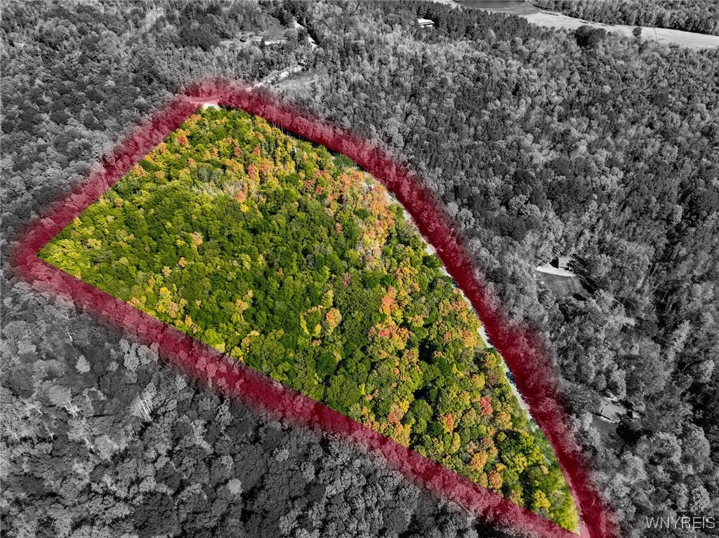 Old Buffalo Road, Orangeville, New York 14569, Orangeville, New York 14569, ,Land,For Sale,Old Buffalo Road, Orangeville, New York 14569,0,B1642794