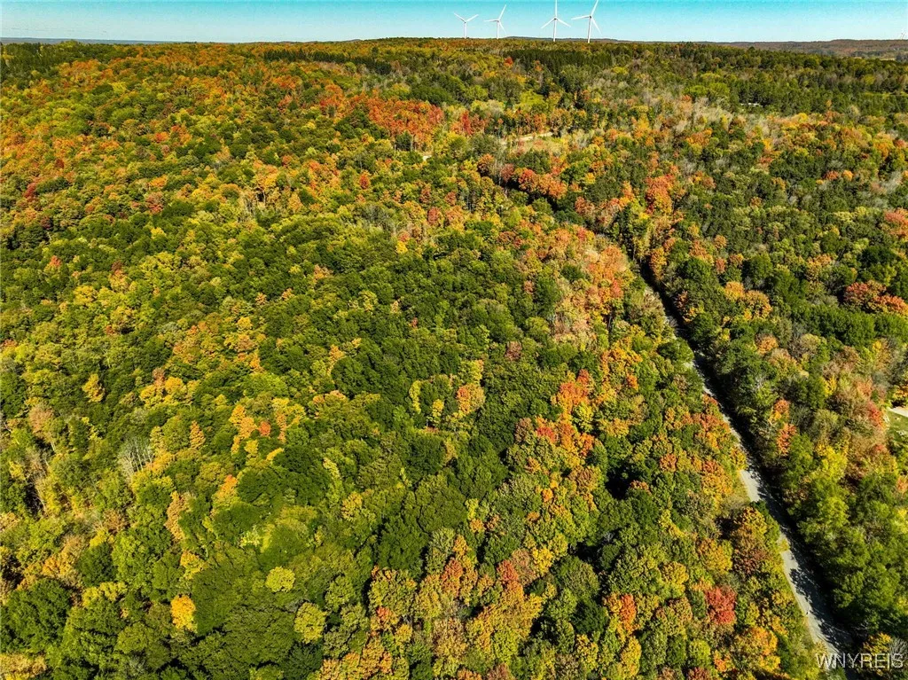 Old Buffalo Road, Orangeville, New York 14569, Orangeville, New York 14569, ,Land,For Sale,Old Buffalo Road, Orangeville, New York 14569,0,B1642794