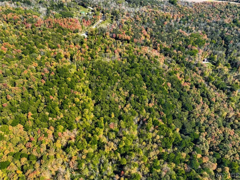 Old Buffalo Road, Orangeville, New York 14569, Orangeville, New York 14569, ,Land,For Sale,Old Buffalo Road, Orangeville, New York 14569,0,B1642794