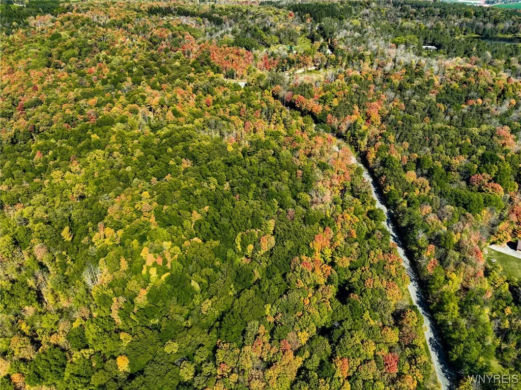 Old Buffalo Road, Orangeville, New York 14569, Orangeville, New York 14569, ,Land,For Sale,Old Buffalo Road, Orangeville, New York 14569,0,B1642794