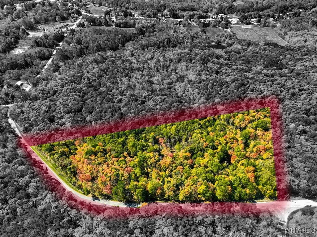 Old Buffalo Road, Orangeville, New York 14569, Orangeville, New York 14569, ,Land,For Sale,Old Buffalo Road, Orangeville, New York 14569,0,B1642794