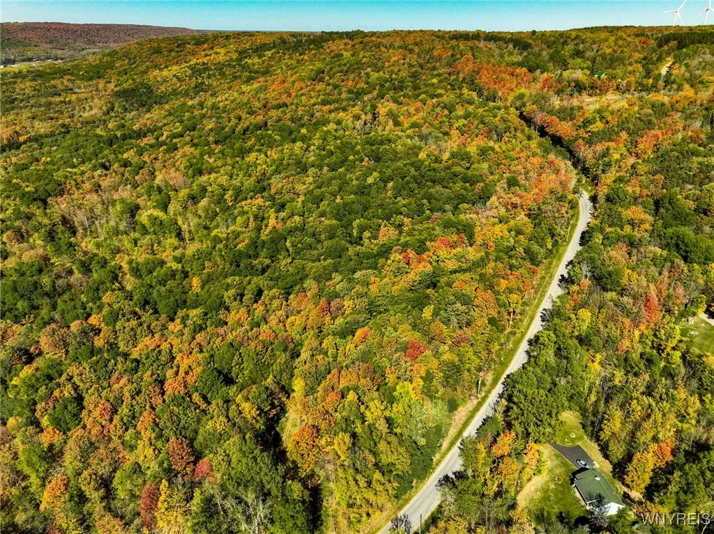 Old Buffalo Road, Orangeville, New York 14569, Orangeville, New York 14569, ,Land,For Sale,Old Buffalo Road, Orangeville, New York 14569,0,B1642794