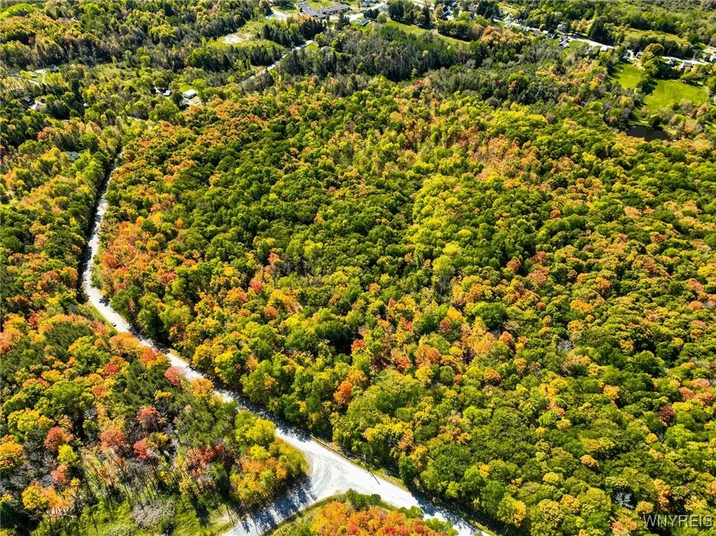 Old Buffalo Road, Orangeville, New York 14569, Orangeville, New York 14569, ,Land,For Sale,Old Buffalo Road, Orangeville, New York 14569,0,B1642794