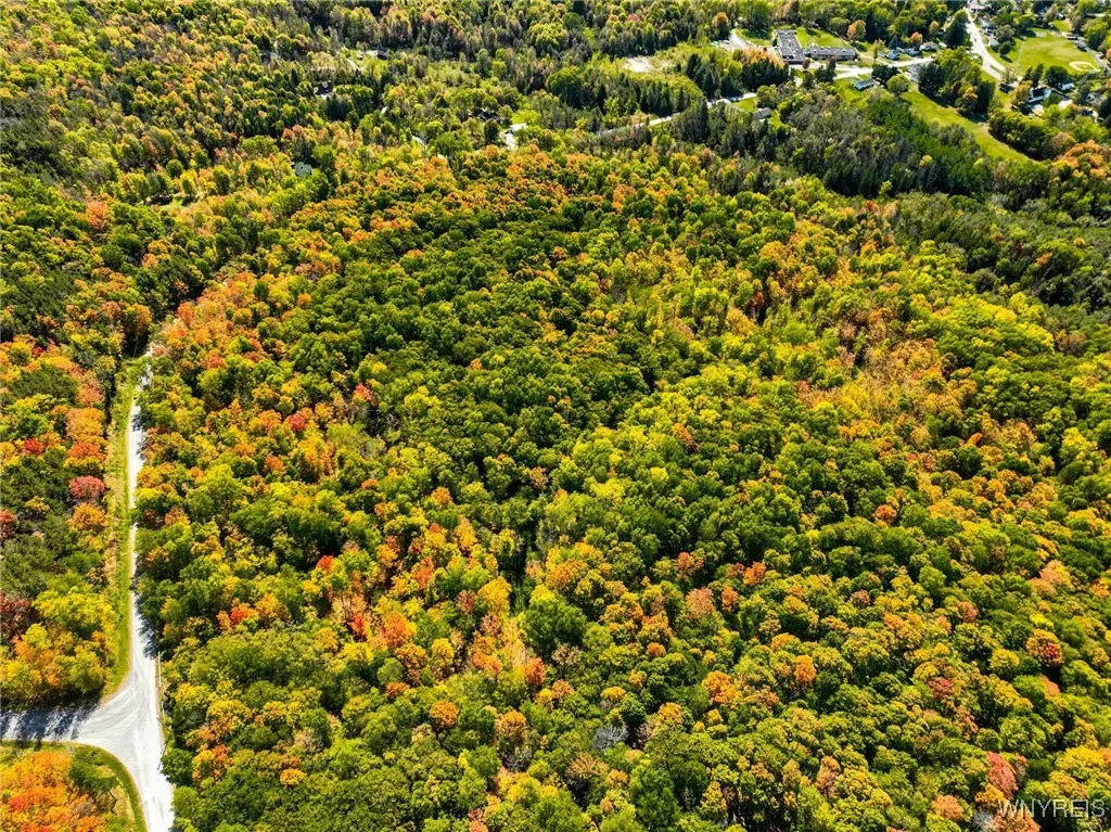 Old Buffalo Road, Orangeville, New York 14569, Orangeville, New York 14569, ,Land,For Sale,Old Buffalo Road, Orangeville, New York 14569,0,B1642794