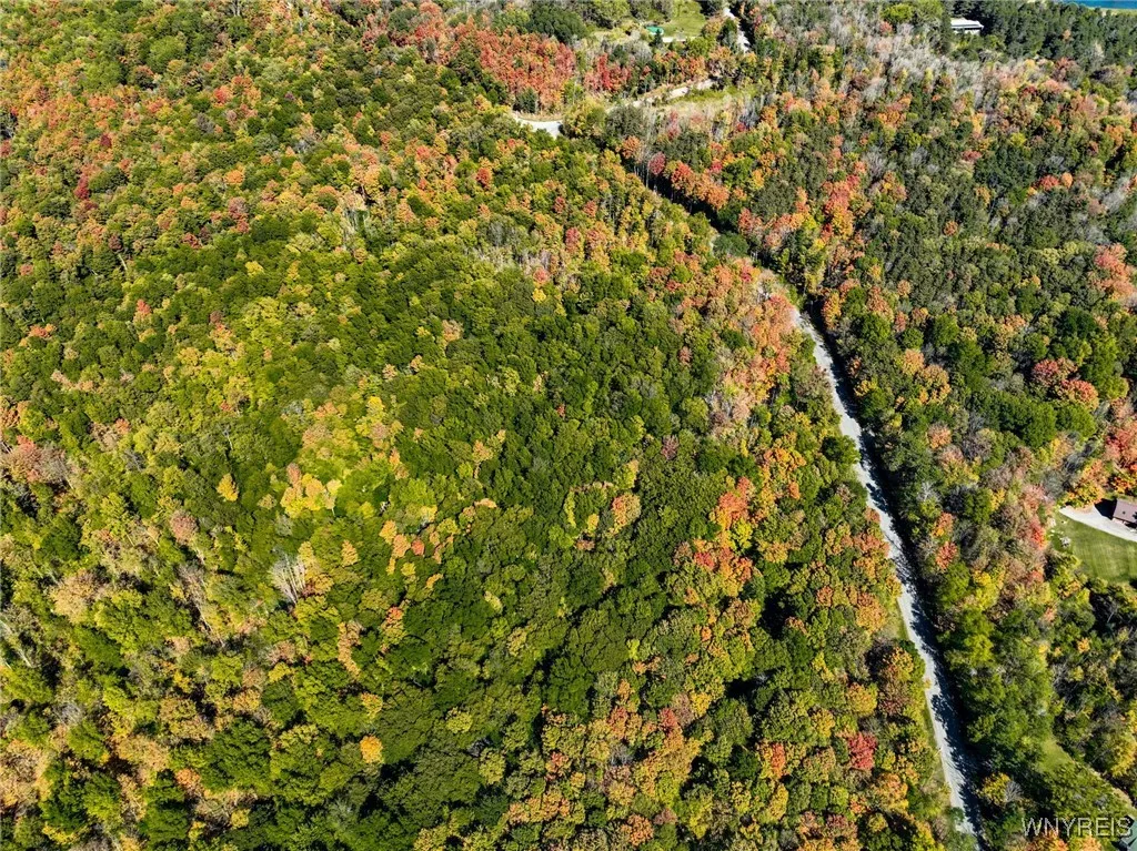 Old Buffalo Road, Orangeville, New York 14569, Orangeville, New York 14569, ,Land,For Sale,Old Buffalo Road, Orangeville, New York 14569,0,B1642794