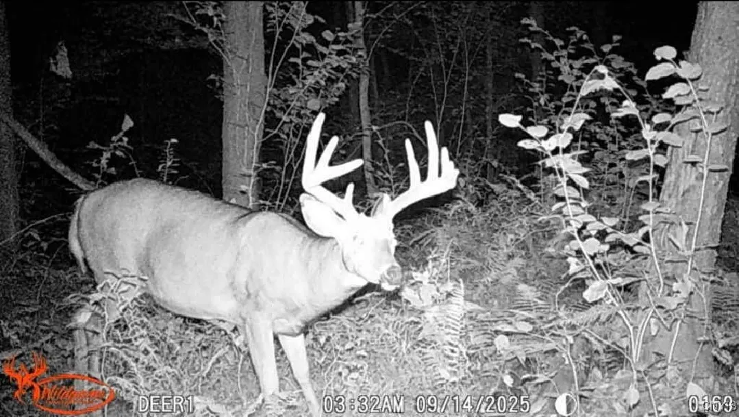 1753 State Route 13, Albion, New York 13302, Albion, New York 13302, 2 Bedrooms Bedrooms, 6 Rooms Rooms,2 BathroomsBathrooms,Residential,For Sale,1753 State Route 13, Albion, New York 13302,0,S1642791