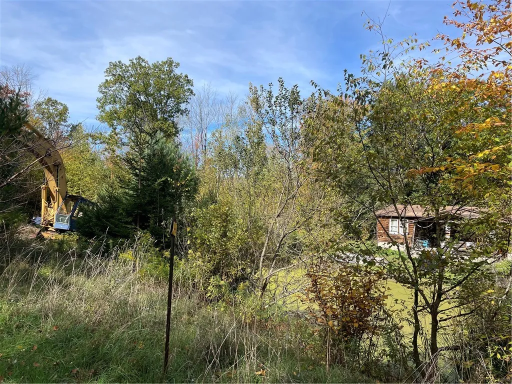 421 Welch Road, Blenheim, New York 12167, Blenheim, New York 12167, ,Land,For Sale,421 Welch Road, Blenheim, New York 12167,0,R1642184
