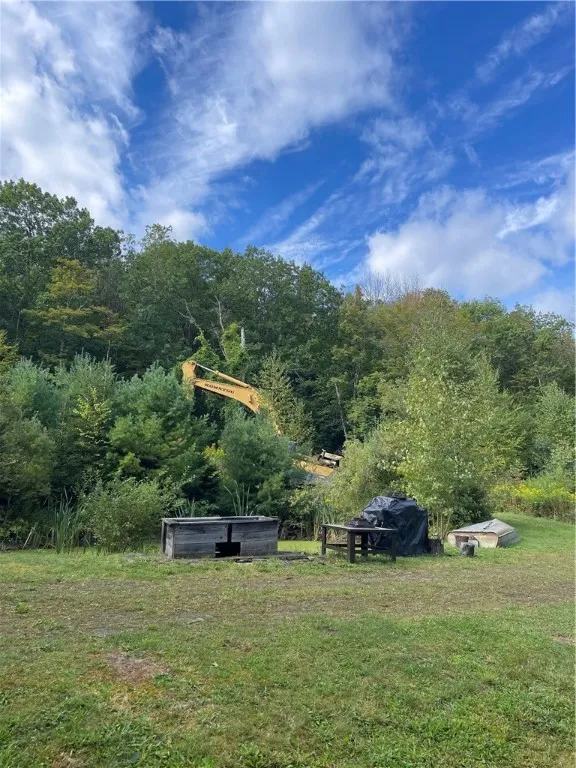 421 Welch Road, Blenheim, New York 12167, Blenheim, New York 12167, ,Land,For Sale,421 Welch Road, Blenheim, New York 12167,0,R1642184