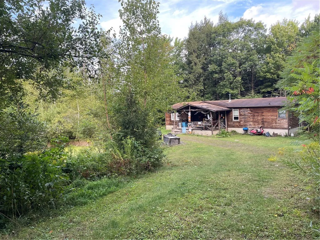 421 Welch Road, Blenheim, New York 12167, Blenheim, New York 12167, ,Land,For Sale,421 Welch Road, Blenheim, New York 12167,0,R1642184
