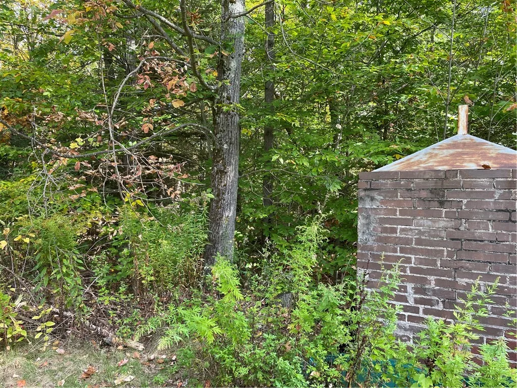 421 Welch Road, Blenheim, New York 12167, Blenheim, New York 12167, ,Land,For Sale,421 Welch Road, Blenheim, New York 12167,0,R1642184