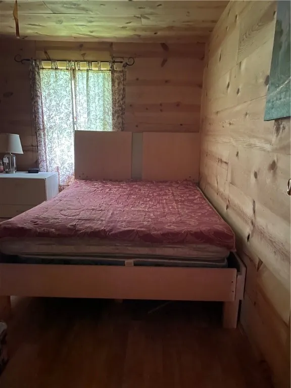 421 Welch Road, Blenheim, New York 12167, Blenheim, New York 12167, ,Land,For Sale,421 Welch Road, Blenheim, New York 12167,0,R1642184