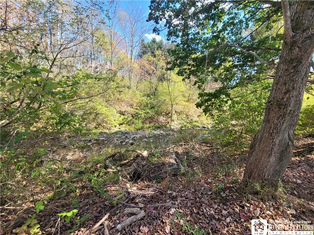 3706 Dry Brook Road, Poland, New York 14747, Poland, New York 14747, 3 Bedrooms Bedrooms, 6 Rooms Rooms,1 BathroomBathrooms,Residential,For Sale,3706 Dry Brook Road, Poland, New York 14747,0,R1643245