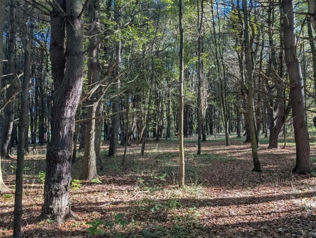 297 Creek Rd, Lansing, New York 13092, Lansing, New York 13092, 2 Bedrooms Bedrooms, 5 Rooms Rooms,1 BathroomBathrooms,Residential,For Sale,297 Creek Rd, Lansing, New York 13092,0,R1643332