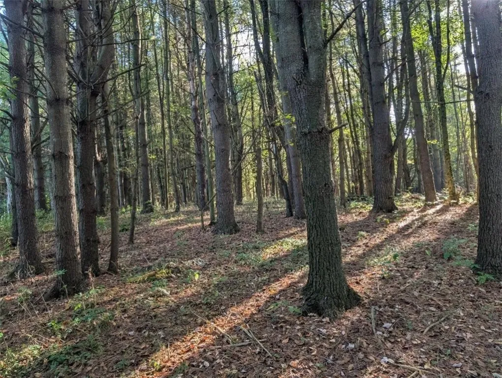 297 Creek Rd, Lansing, New York 13092, Lansing, New York 13092, 2 Bedrooms Bedrooms, 5 Rooms Rooms,1 BathroomBathrooms,Residential,For Sale,297 Creek Rd, Lansing, New York 13092,0,R1643332