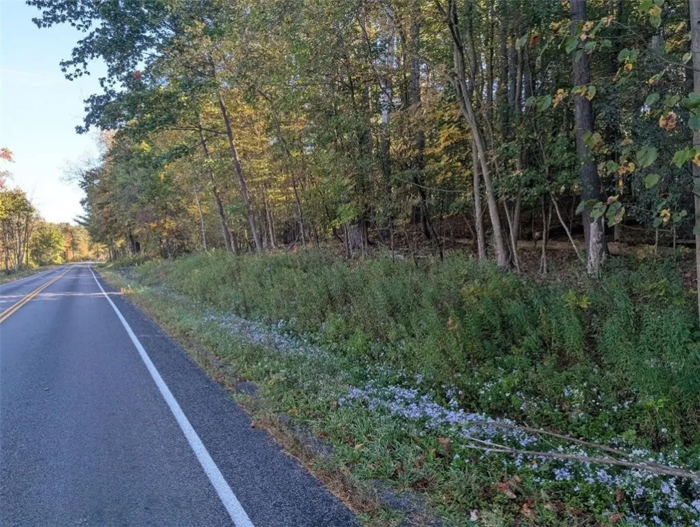 297 Creek Rd, Lansing, New York 13092, Lansing, New York 13092, 2 Bedrooms Bedrooms, 5 Rooms Rooms,1 BathroomBathrooms,Residential,For Sale,297 Creek Rd, Lansing, New York 13092,0,R1643332