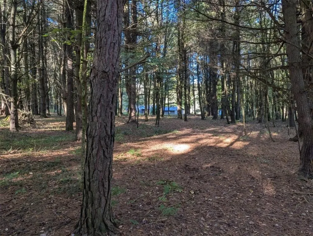 297 Creek Rd, Lansing, New York 13092, Lansing, New York 13092, 2 Bedrooms Bedrooms, 5 Rooms Rooms,1 BathroomBathrooms,Residential,For Sale,297 Creek Rd, Lansing, New York 13092,0,R1643332