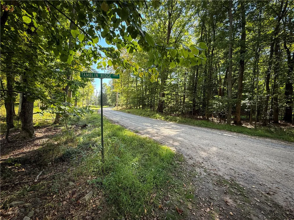 Tamblin Ridge, Constantia, New York 13028, Constantia, New York 13028, ,Land,For Sale,Tamblin Ridge, Constantia, New York 13028,0,R1640141