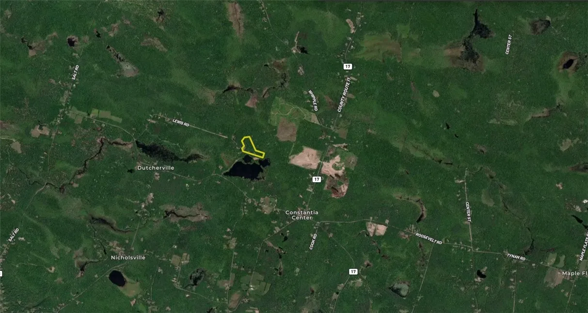 Tamblin Ridge, Constantia, New York 13028, Constantia, New York 13028, ,Land,For Sale,Tamblin Ridge, Constantia, New York 13028,0,R1640141