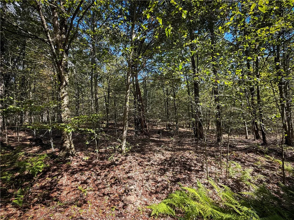Tamblin Ridge, Constantia, New York 13028, Constantia, New York 13028, ,Land,For Sale,Tamblin Ridge, Constantia, New York 13028,0,R1640141