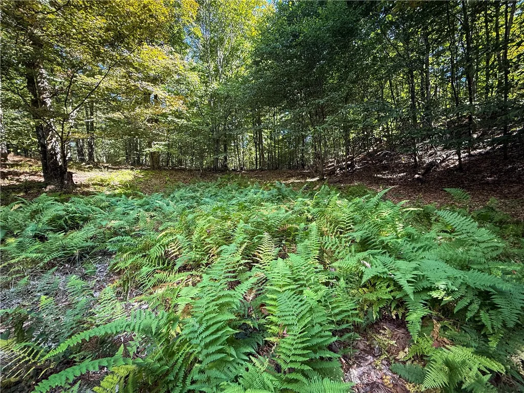 Tamblin Ridge, Constantia, New York 13028, Constantia, New York 13028, ,Land,For Sale,Tamblin Ridge, Constantia, New York 13028,0,R1640141