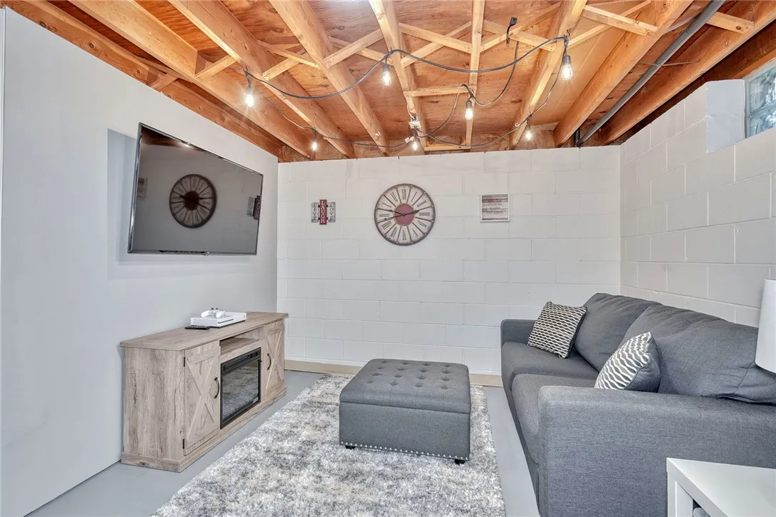 Basement hang out area