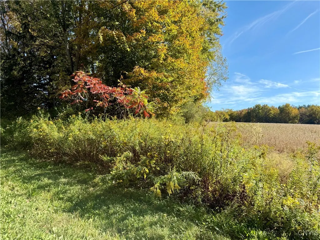 1241 County Line Road, Granby, New York 13069, Granby, New York 13069, ,Land,For Sale,1241 County Line Road, Granby, New York 13069,0,S1643565