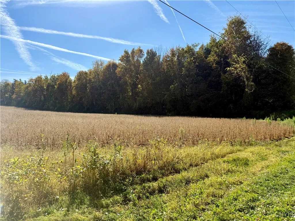 1241 County Line Road, Granby, New York 13069, Granby, New York 13069, ,Land,For Sale,1241 County Line Road, Granby, New York 13069,0,S1643565