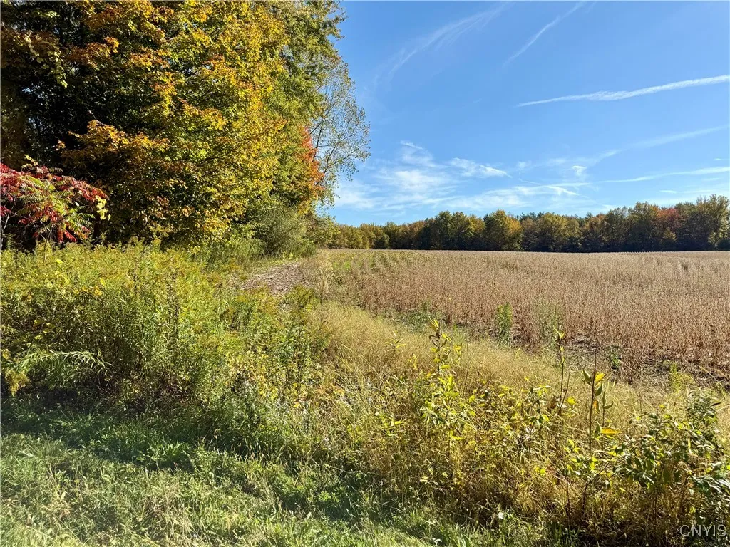 1241 County Line Road, Granby, New York 13069, Granby, New York 13069, ,Land,For Sale,1241 County Line Road, Granby, New York 13069,0,S1643565