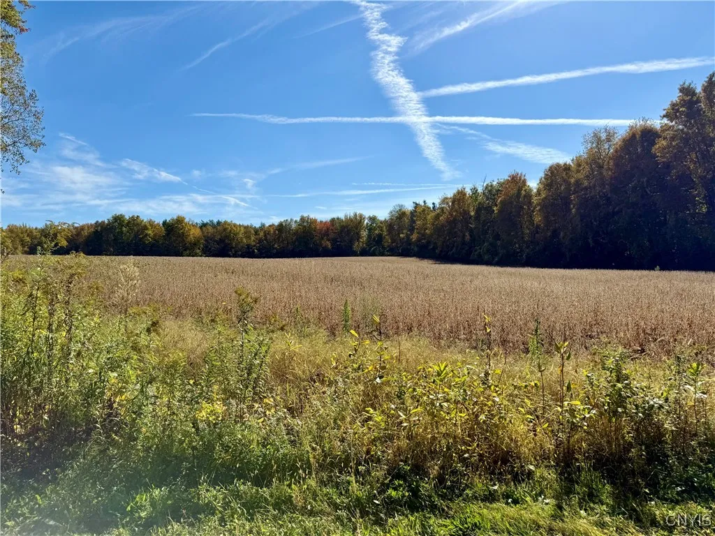 1241 County Line Road, Granby, New York 13069, Granby, New York 13069, ,Land,For Sale,1241 County Line Road, Granby, New York 13069,0,S1643565