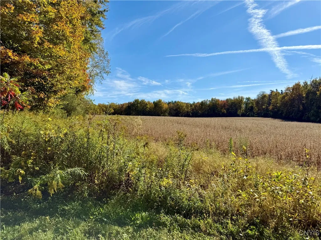 1241 County Line Road, Granby, New York 13069, Granby, New York 13069, ,Land,For Sale,1241 County Line Road, Granby, New York 13069,0,S1643565