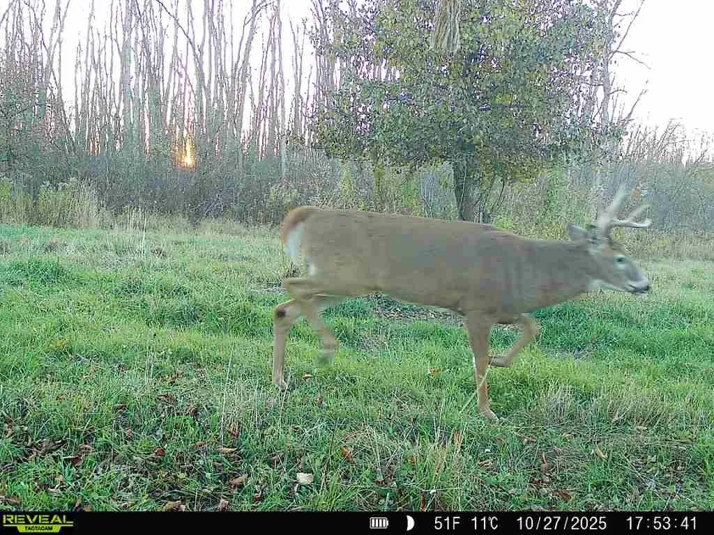 Rt-96, Farmington, New York 14425, Farmington, New York 14425, ,Land,For Sale,Rt-96, Farmington, New York 14425,0,R1643300