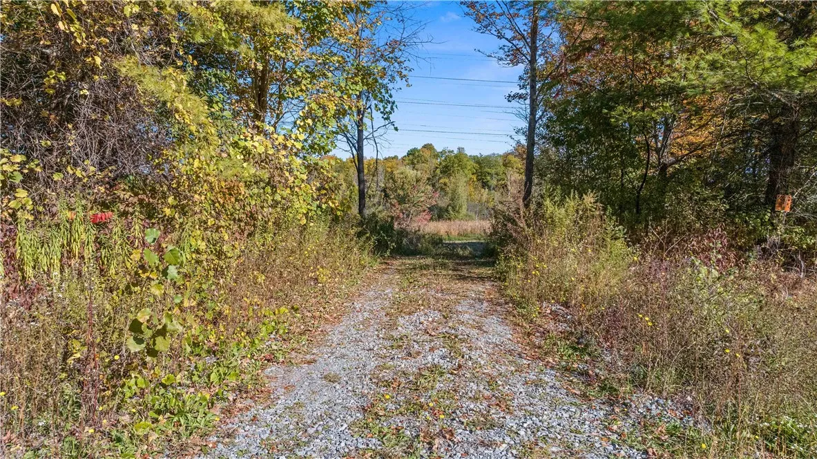 Rt-96, Farmington, New York 14425, Farmington, New York 14425, ,Land,For Sale,Rt-96, Farmington, New York 14425,0,R1643300