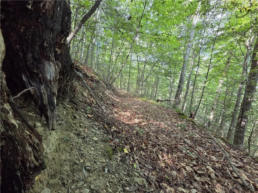 1918 Chambers Road, Catlin, New York 14902, Catlin, New York 14902, 2 Bedrooms Bedrooms, 5 Rooms Rooms,1 BathroomBathrooms,Residential,For Sale,1918 Chambers Road, Catlin, New York 14902,0,R1643132