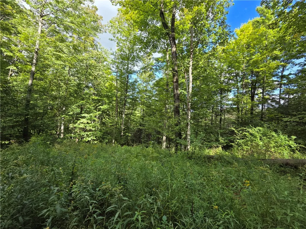 1918 Chambers Road, Catlin, New York 14902, Catlin, New York 14902, 2 Bedrooms Bedrooms, 5 Rooms Rooms,1 BathroomBathrooms,Residential,For Sale,1918 Chambers Road, Catlin, New York 14902,0,R1643132