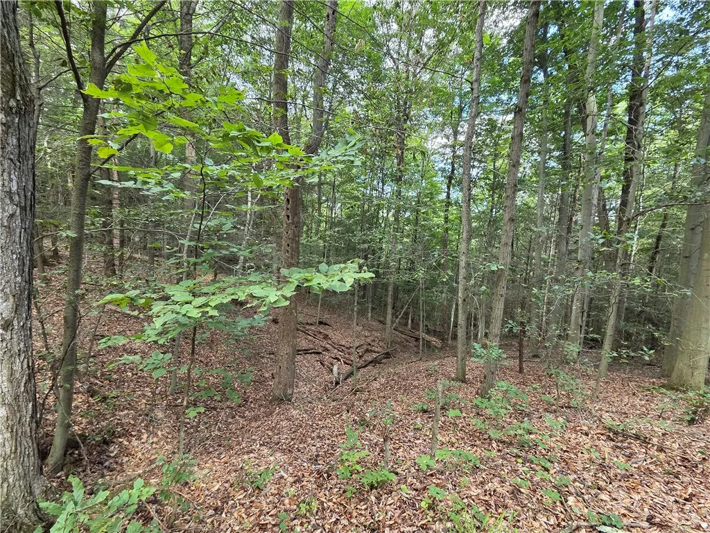 1918 Chambers Road, Catlin, New York 14902, Catlin, New York 14902, 2 Bedrooms Bedrooms, 5 Rooms Rooms,1 BathroomBathrooms,Residential,For Sale,1918 Chambers Road, Catlin, New York 14902,0,R1643132