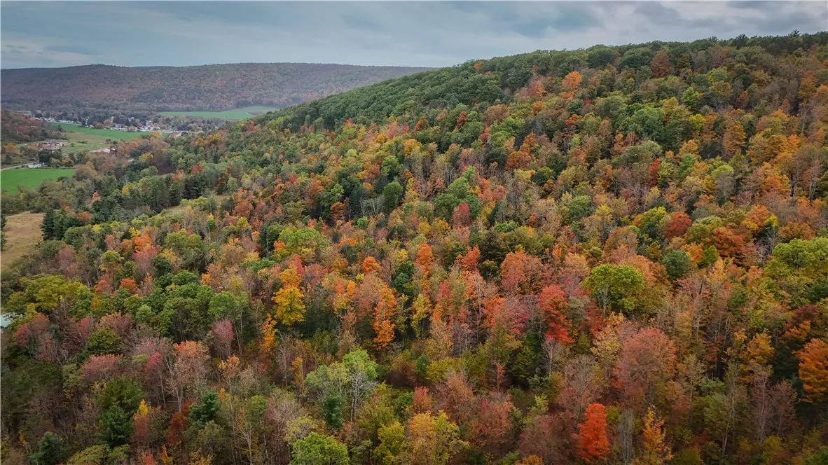 1918 Chambers Road, Catlin, New York 14902, Catlin, New York 14902, 2 Bedrooms Bedrooms, 5 Rooms Rooms,1 BathroomBathrooms,Residential,For Sale,1918 Chambers Road, Catlin, New York 14902,0,R1643132