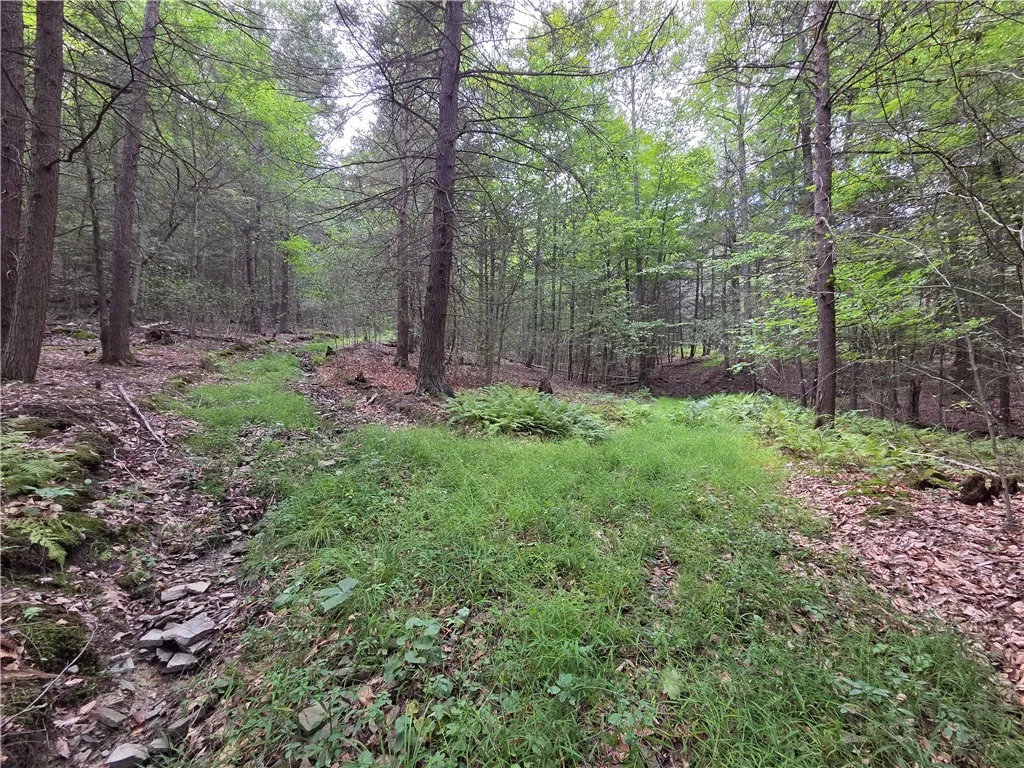 1918 Chambers Road, Catlin, New York 14902, Catlin, New York 14902, 2 Bedrooms Bedrooms, 5 Rooms Rooms,1 BathroomBathrooms,Residential,For Sale,1918 Chambers Road, Catlin, New York 14902,0,R1643132