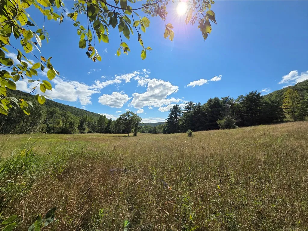 1918 Chambers Road, Catlin, New York 14902, Catlin, New York 14902, 2 Bedrooms Bedrooms, 5 Rooms Rooms,1 BathroomBathrooms,Residential,For Sale,1918 Chambers Road, Catlin, New York 14902,0,R1643132