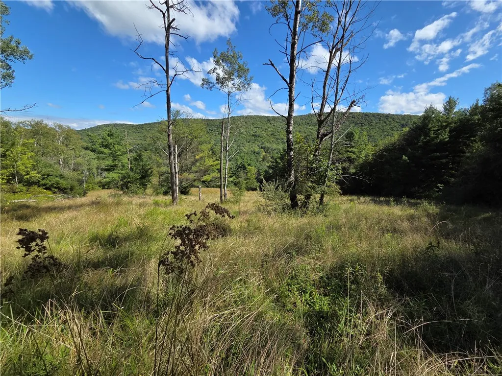 1918 Chambers Road, Catlin, New York 14902, Catlin, New York 14902, 2 Bedrooms Bedrooms, 5 Rooms Rooms,1 BathroomBathrooms,Residential,For Sale,1918 Chambers Road, Catlin, New York 14902,0,R1643132