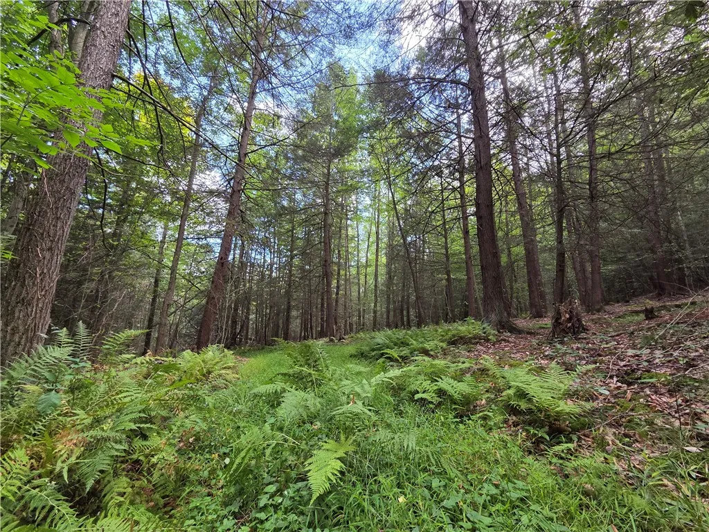 1918 Chambers Road, Catlin, New York 14902, Catlin, New York 14902, 2 Bedrooms Bedrooms, 5 Rooms Rooms,1 BathroomBathrooms,Residential,For Sale,1918 Chambers Road, Catlin, New York 14902,0,R1643132