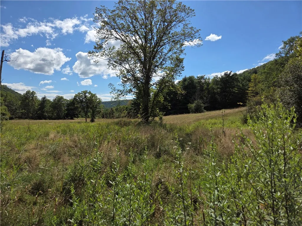 1918 Chambers Road, Catlin, New York 14902, Catlin, New York 14902, 2 Bedrooms Bedrooms, 5 Rooms Rooms,1 BathroomBathrooms,Residential,For Sale,1918 Chambers Road, Catlin, New York 14902,0,R1643132