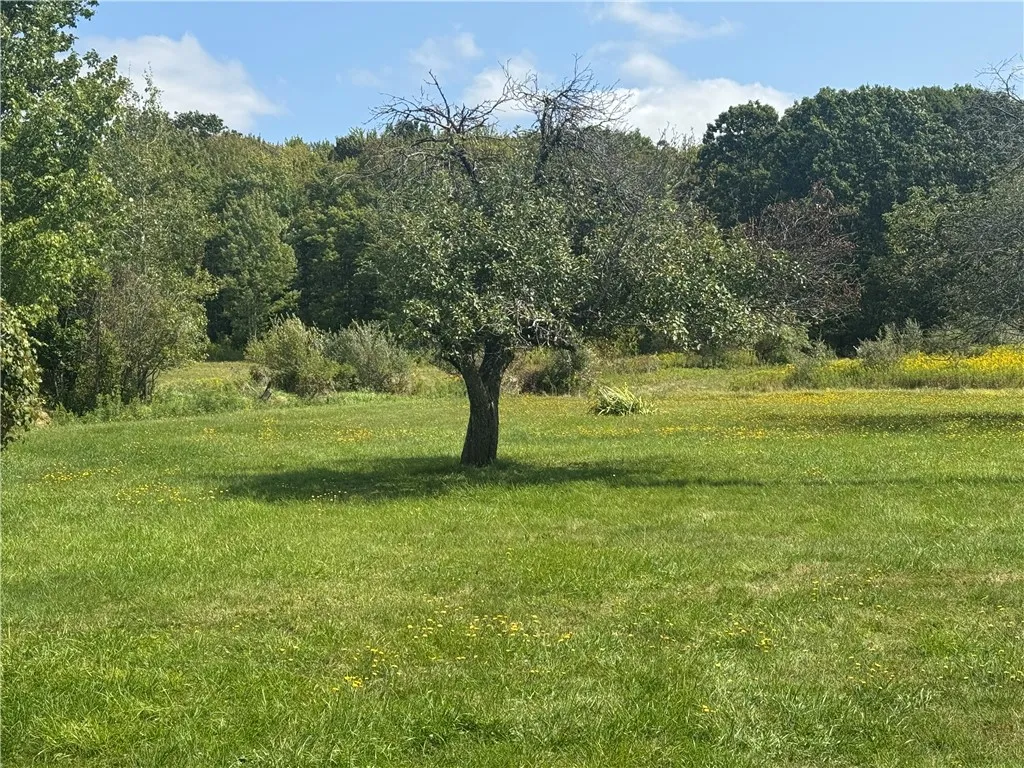834 Drybrook Road, Chemung, New York 14892, Chemung, New York 14892, 4 Bedrooms Bedrooms, 8 Rooms Rooms,1 BathroomBathrooms,Residential,For Sale,834 Drybrook Road, Chemung, New York 14892,0,R1642995