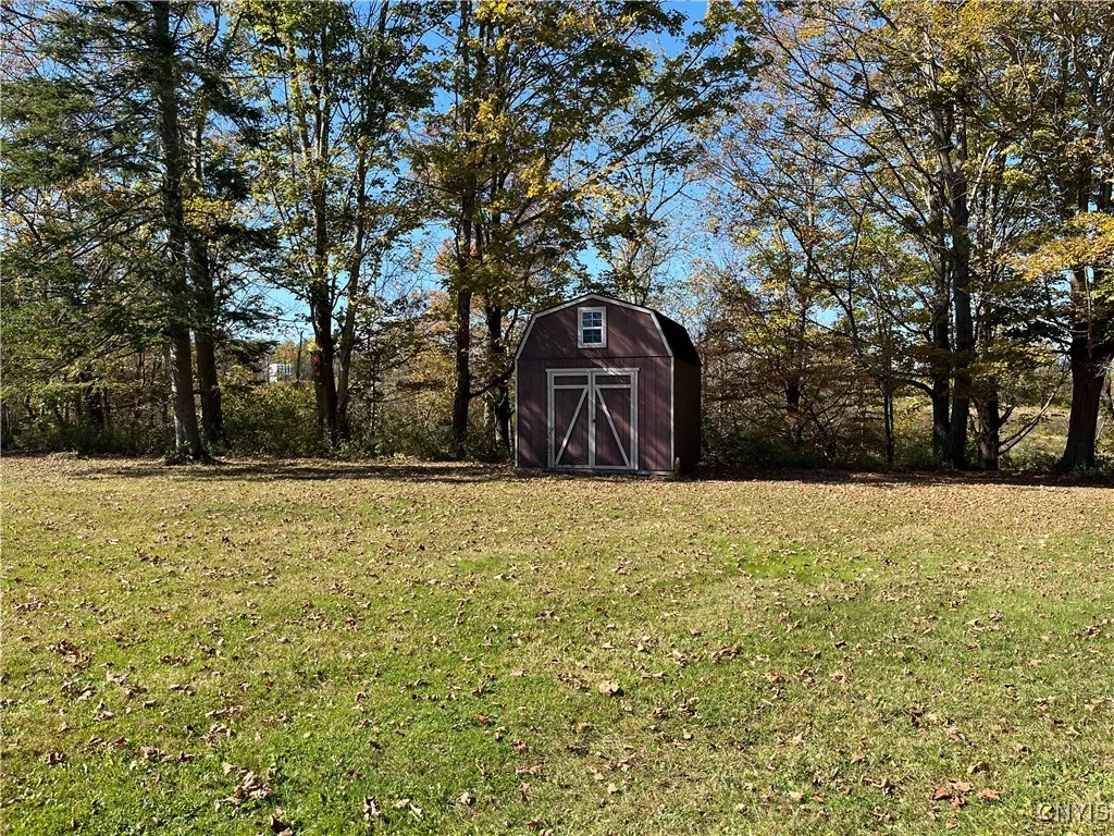 Yard with shed