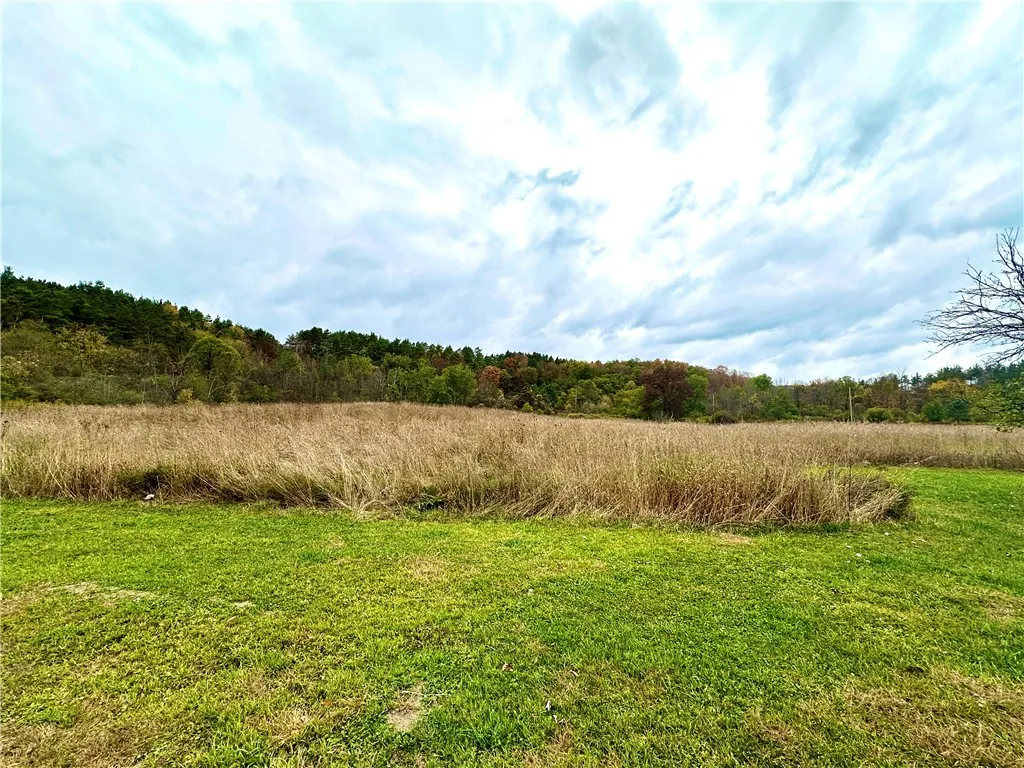 9915 State Route 53, Wheeler, New York 14873, Wheeler, New York 14873, 4 Bedrooms Bedrooms, 9 Rooms Rooms,2 BathroomsBathrooms,Residential,For Sale,9915 State Route 53, Wheeler, New York 14873,0,R1643607