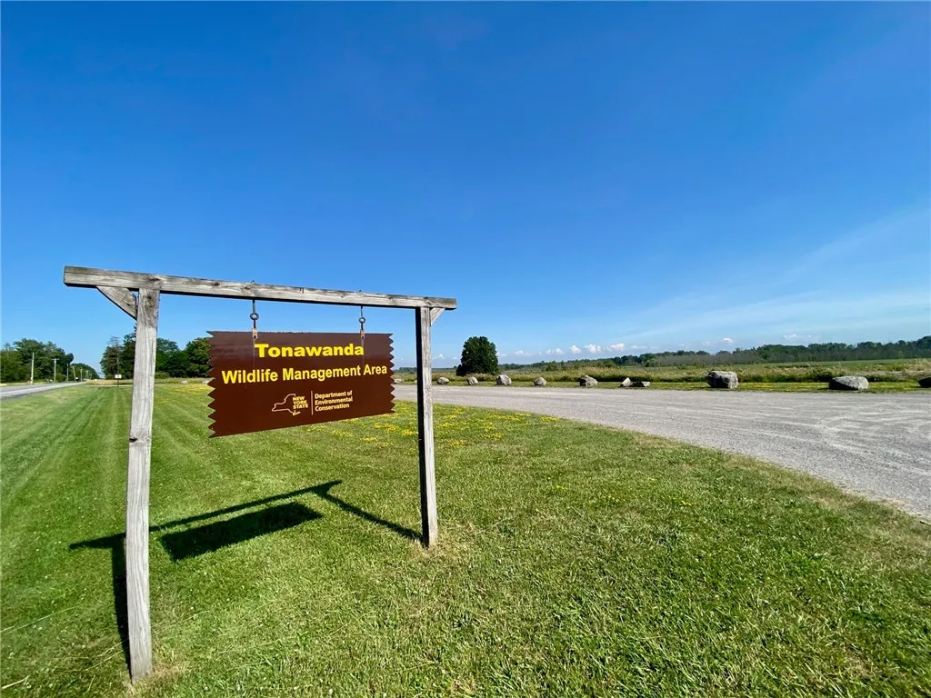 NEARBY IROQUOIS & TONAWANDA WILDLIFE AREAS FEATURING BIRDING TRAILS.