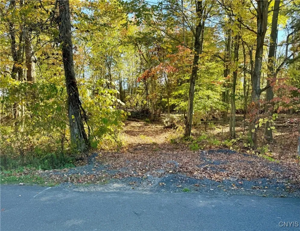 County Line Road, Granby, New York 13069, Granby, New York 13069, ,Land,For Sale,County Line Road, Granby, New York 13069,0,S1643592